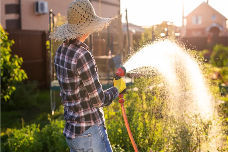 Garden Irrigation